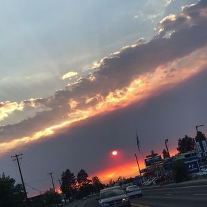 Meet your Posher, Bella